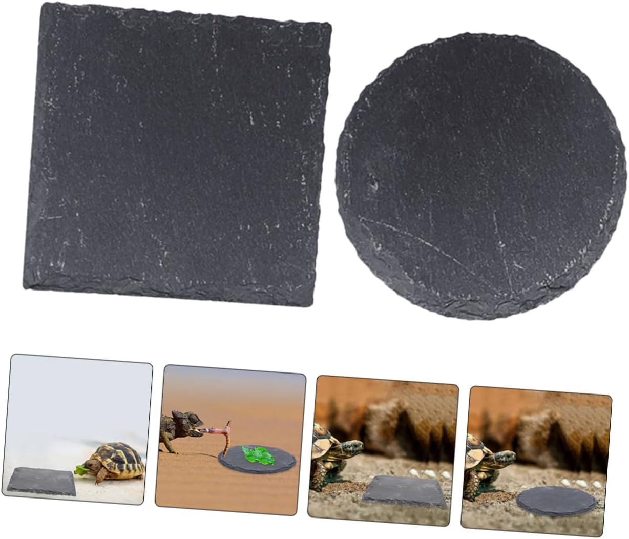 BESPORTBLE 2pcs Turtle Basking Platform Reptile Terrarium Decor Rock Feeding Bowl Bearded Dragon