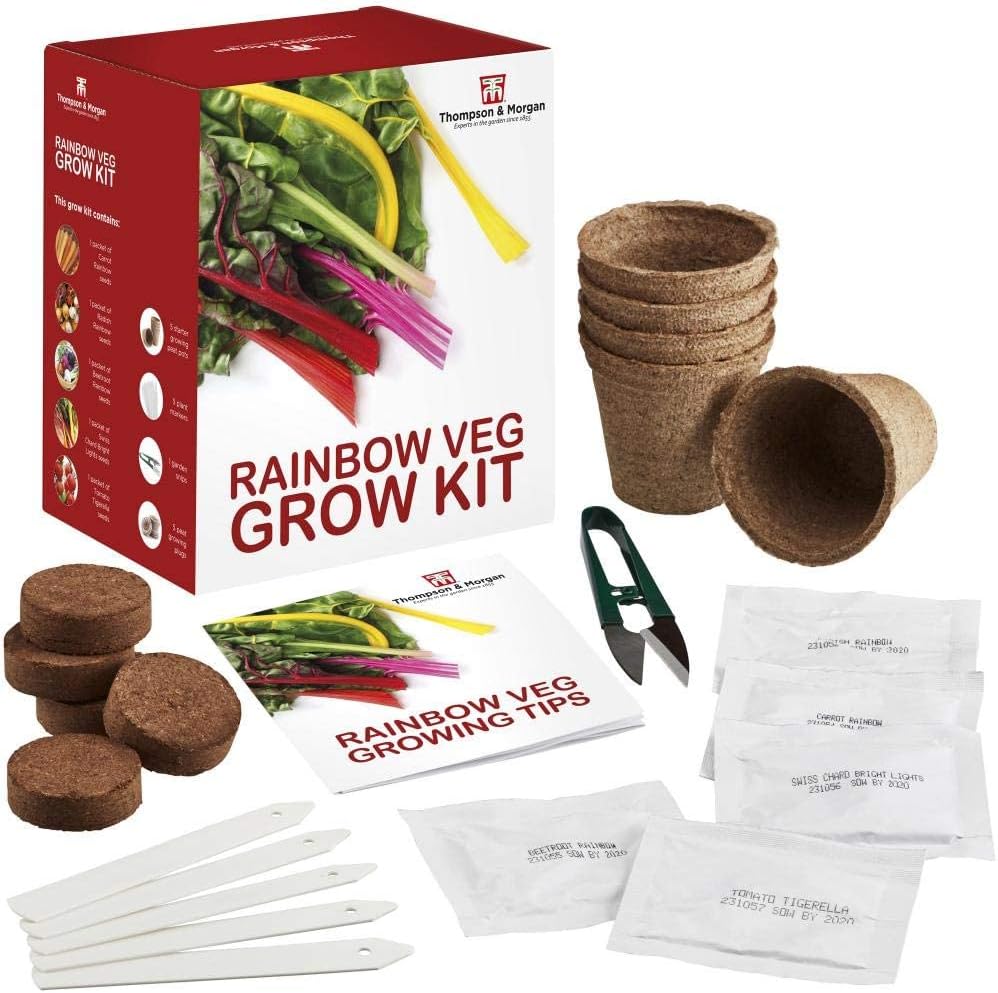 Rainbow Vegetable Seed Growing Kit Gift Box 5 Vibrant Varieties of