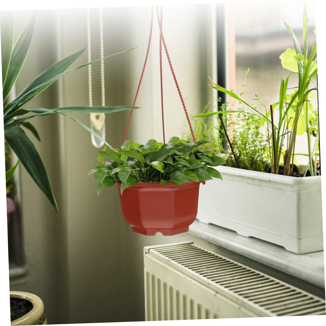 Lot de 15 pots de fleurs à suspendre avec crochets – Pots de fleurs ronds en plastique pour intérieur et extérieur faciles à accrocher pour décoration de maison et de jardin