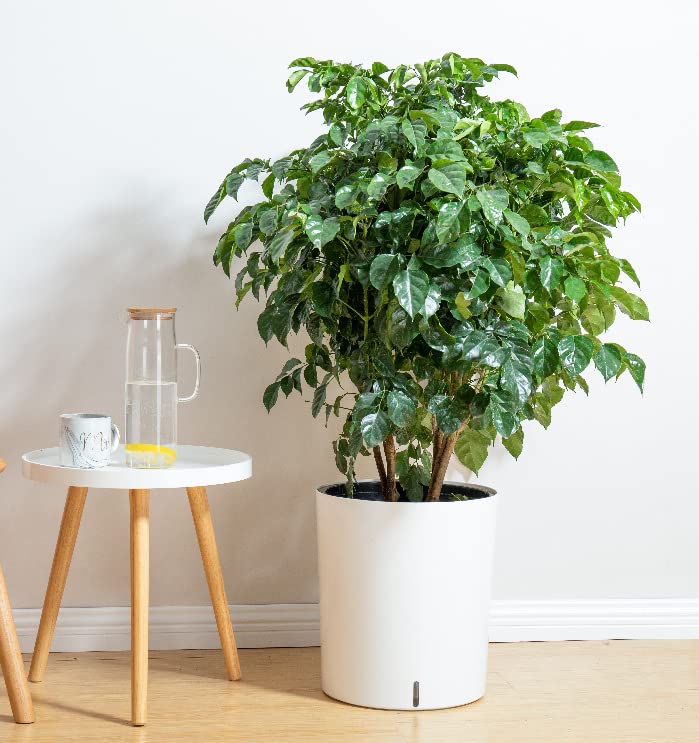 Large Self Watering Dual Pots Planter with Water Level Window, 14 x 12.5 Inch Round Plastic Flower Pot with Wick Rope for Indoor or Outdoor Plant, Flowers, Herbs, Tree (White)