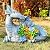 Yardancer Dragon Solar Garden Statues Outdoor Decoration with Succulent and 6 LED Lights,Dragon Figurine Solar Lights Lawn Décor,Outside Statue Ornament for Patio, Balcony, Yard,Unique Gift for Mom