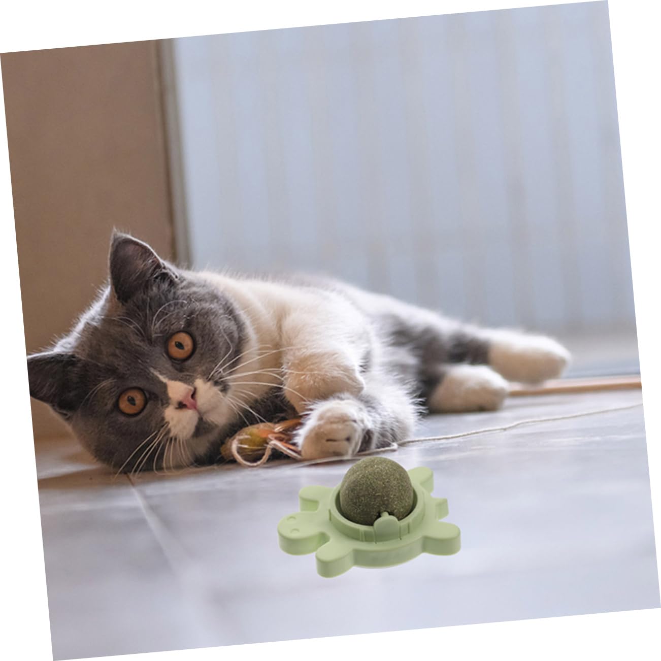 4pezzi Palline Di Catnip Interattive Per Gatti Giocattoli Rotanti Edibili Per Pulizia Dei Denti e Divertimento Colori e Stimola Attività e Benessere Fisico