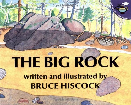 The Big Rock (Aladdin Picture Books)