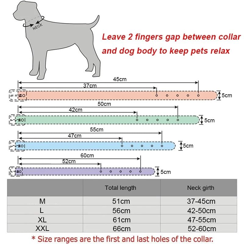 Collier chien réglable anti-traction avec protection durable du cou - 2