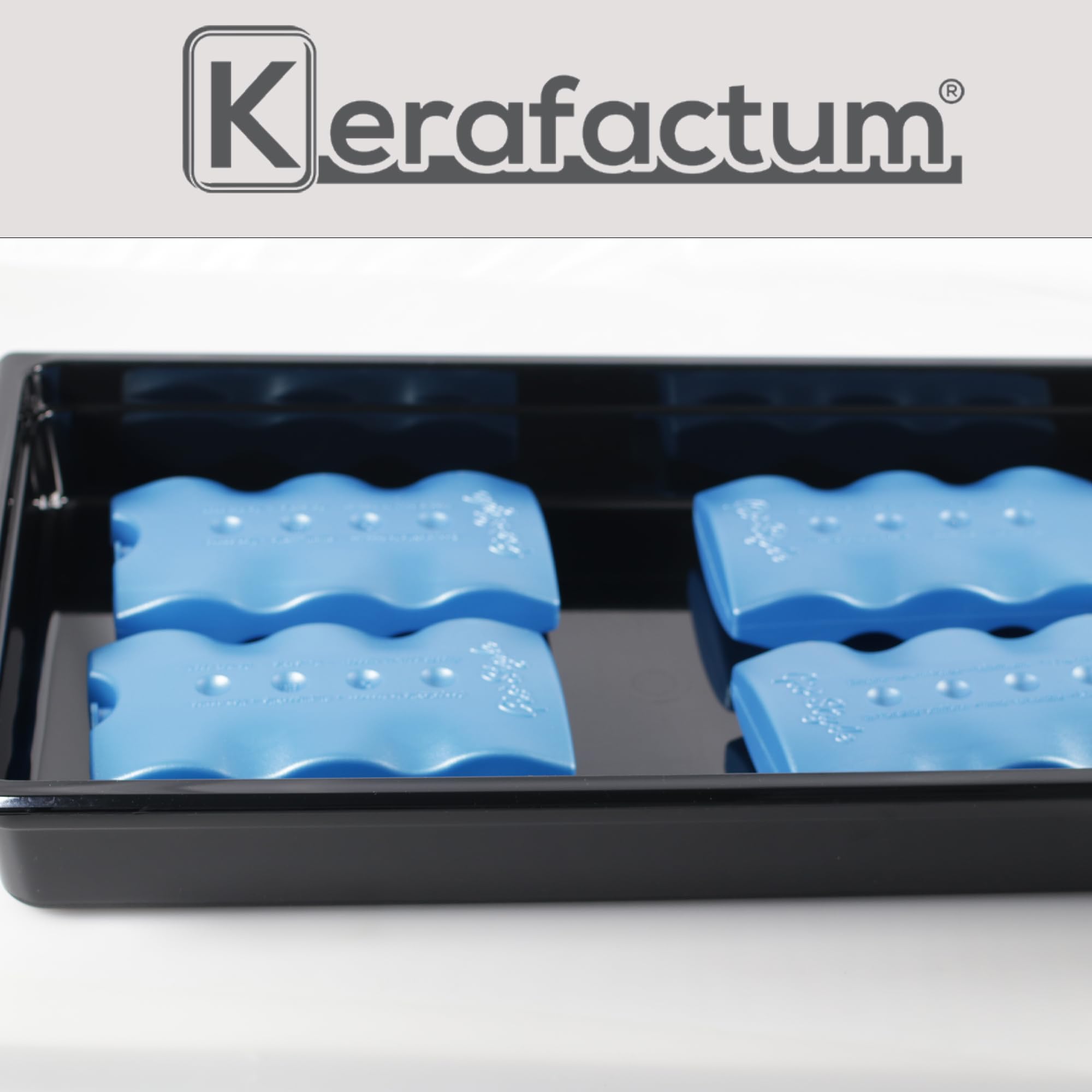 Kerafactum Piatto da portata con ciotola refrigerante, vassoio da portata 1 piastra GN, sistema di raffreddamento a buffet, 4 piatti di raffreddamento riutilizzabili in acciaio inox 18/10