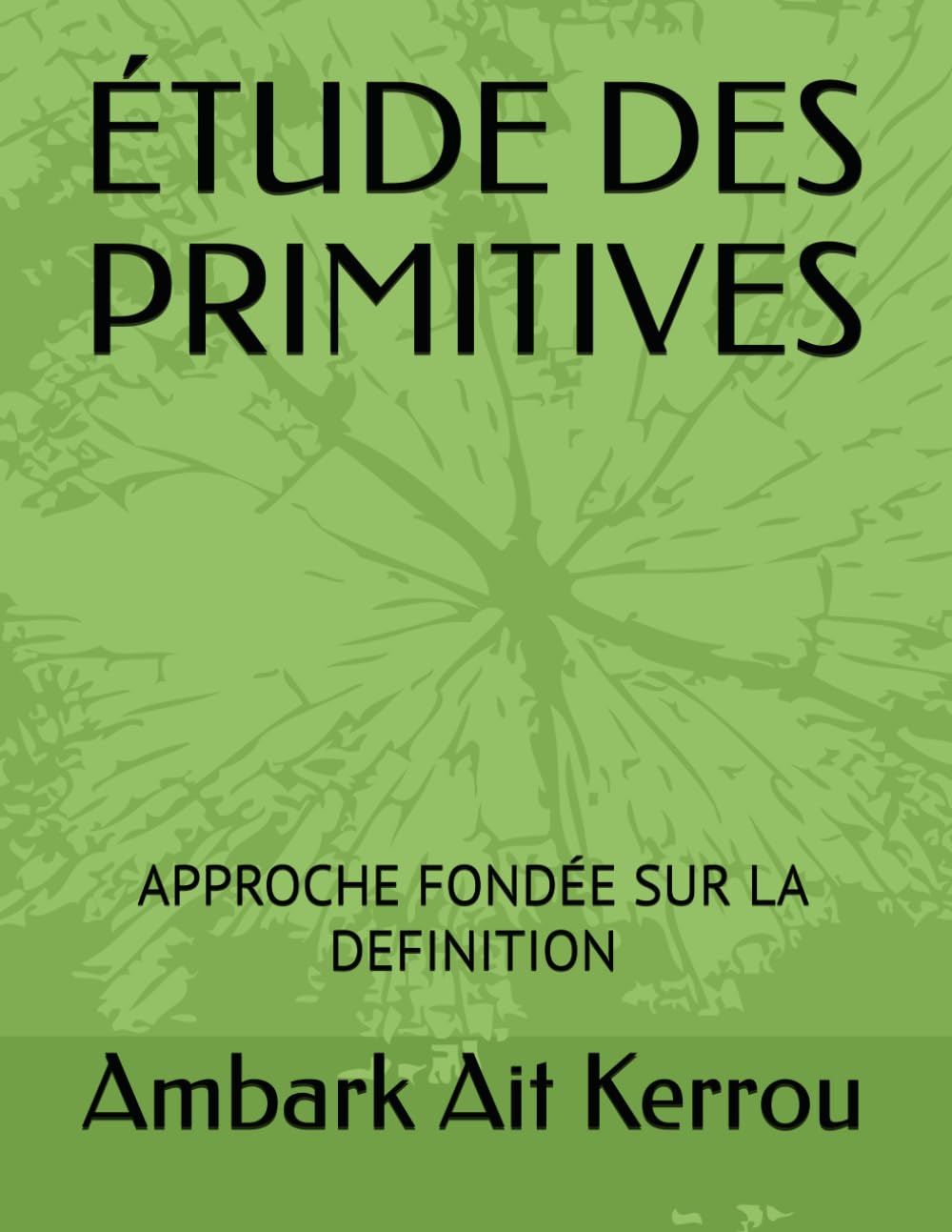 ÉTUDE DES PRIMITIVES: APPROCHE FONDÉE SUR LA DEFINITION