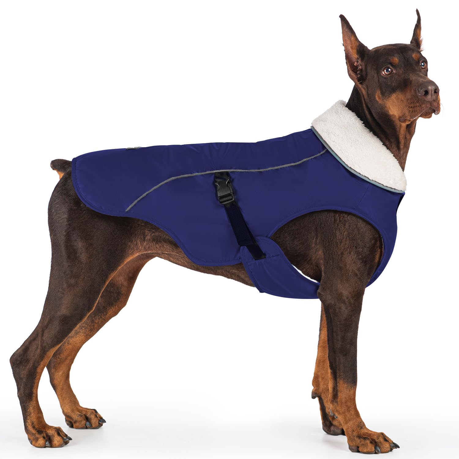 EMUST Hondenjassen voor koud weer, fleecevoering, klein/medium/grote hondenjas voor de winter, warme waterdichte hondenwinterkleding voor grote honden, turquoise, XL