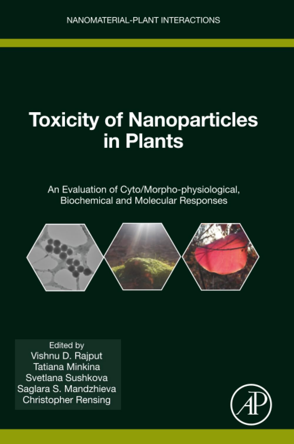 Toxicity of Nanoparticles in Plants: An Evaluation of Cyto/Morpho-physiological, Biochemical and Molecular Responses: Volume 5 (Nanomaterial-Plant Interactions)