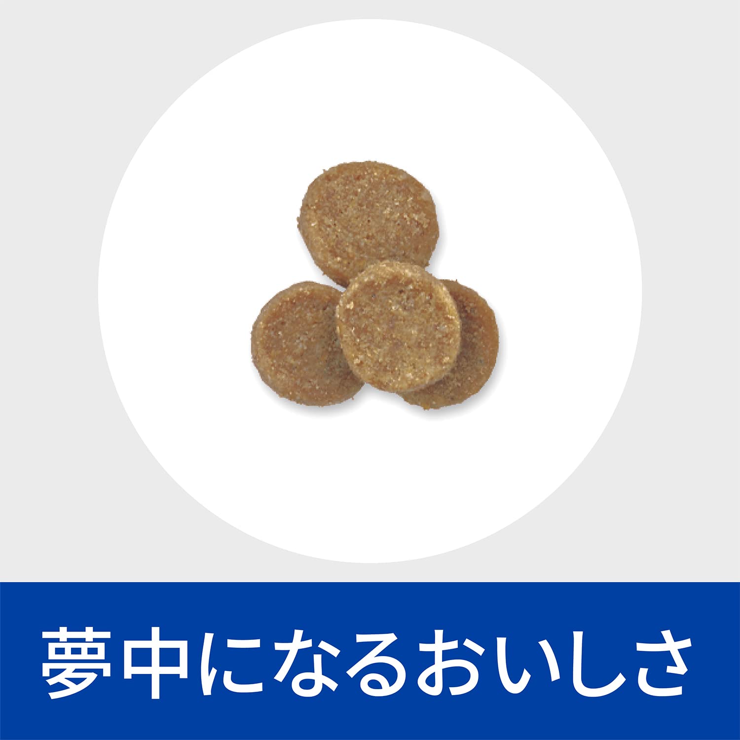 ヒルズ プリスクリプションダイエット キャットフード i/d ドライ チキン