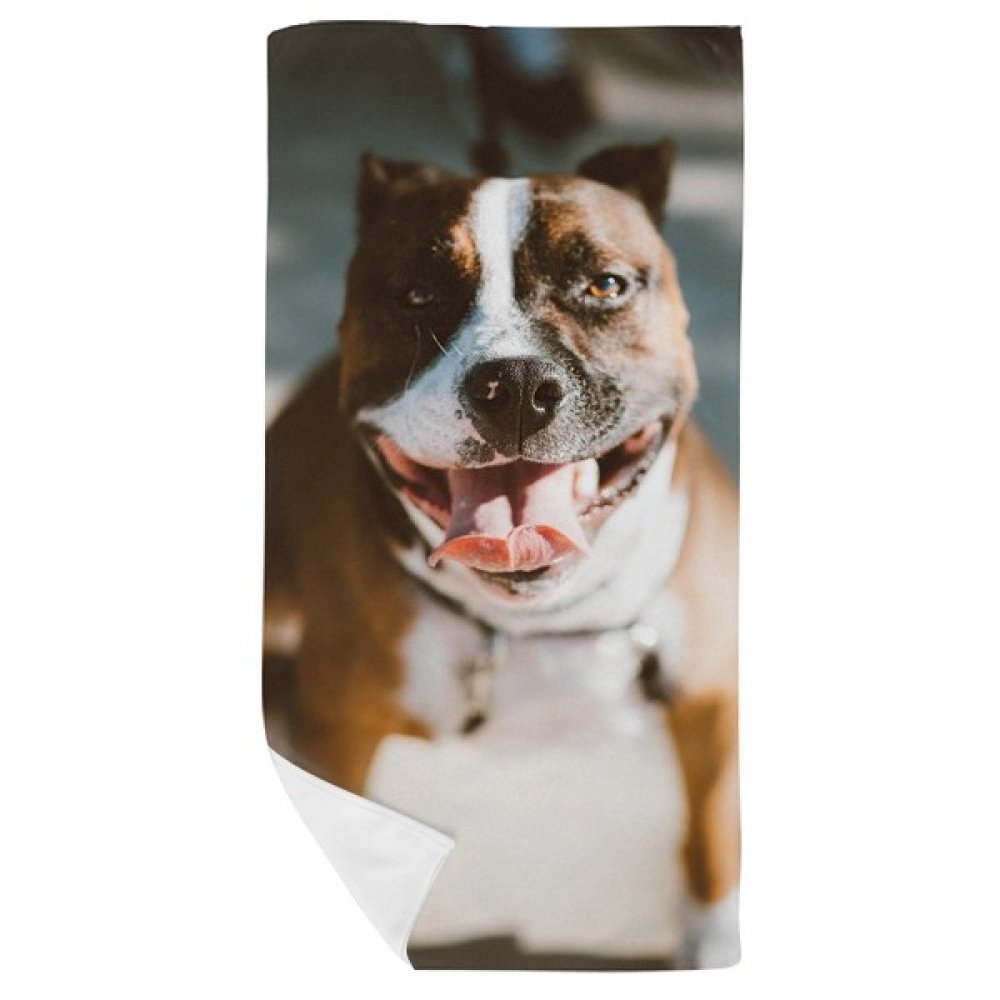 Serviette de bain imprimé bouledogue idéale pour décorer votre salle d'eau moderne