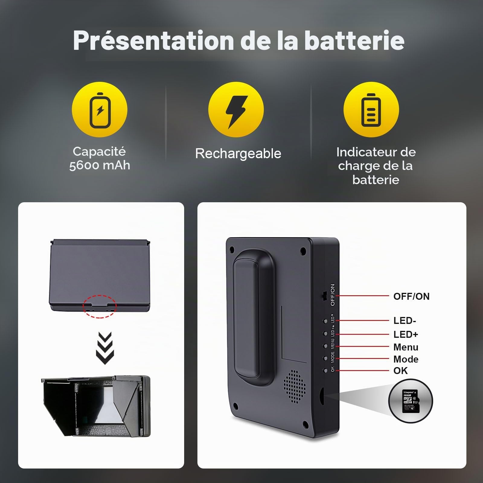 Caméra d'Inspection Canalisation de 4,3 Pouces, Caméra Endoscopique Canalisation avec DVR, Endoscope Industriel Camera d'inspection Canalisation IP68 étanche avec 12 Lampes LED