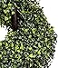 4'Artificial Topiary Spiral Boxwood Trees (Set of 2) by Northwood Calliger|Highly Realistic Potted Decorative Buxus Shrubs|Fake Plastic Plants for Home / Garden|Indoor & Outdoor Use|UV Protected