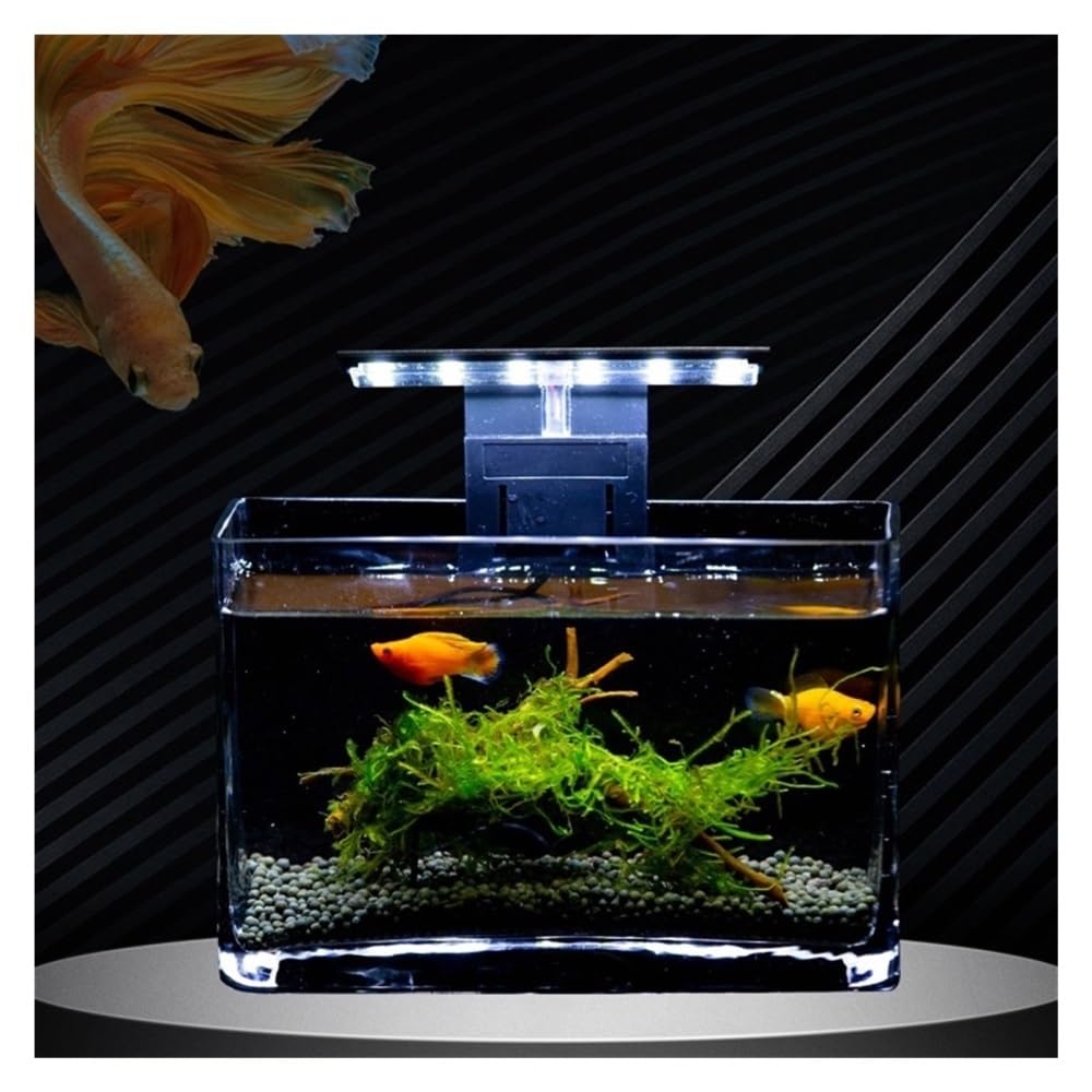 Aquarium Kleines rechteckiges Mini-Aquarium aus Glas for Wohnzimmer, Schreibtisch, kreativer Kampffisch