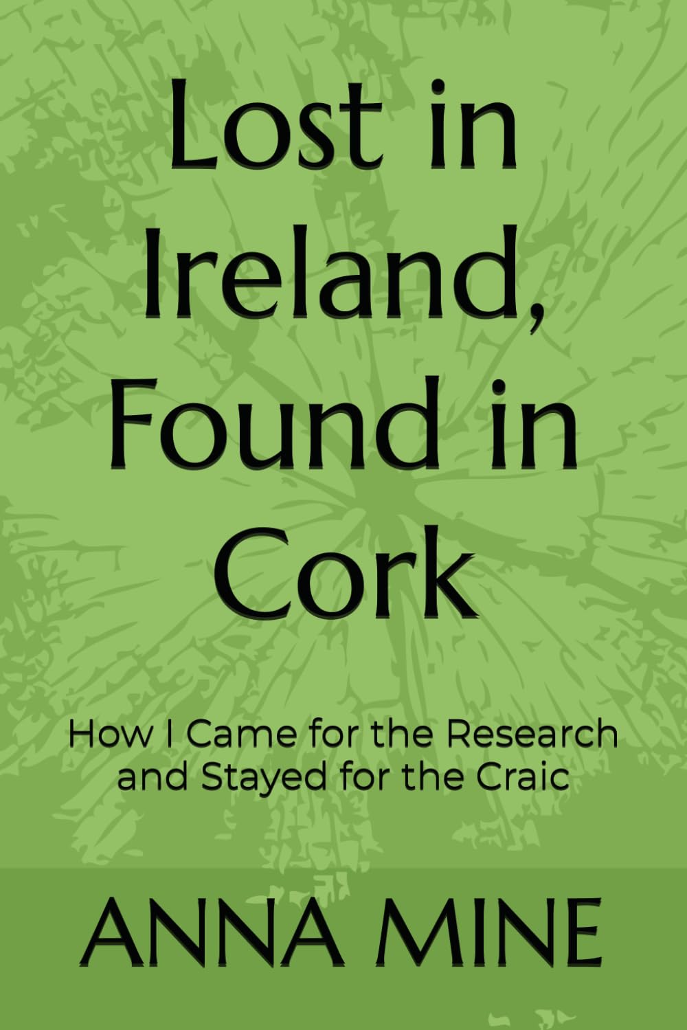 Lost in Ireland, Found in Cork: How I Came for the Research and Stayed for the Craic