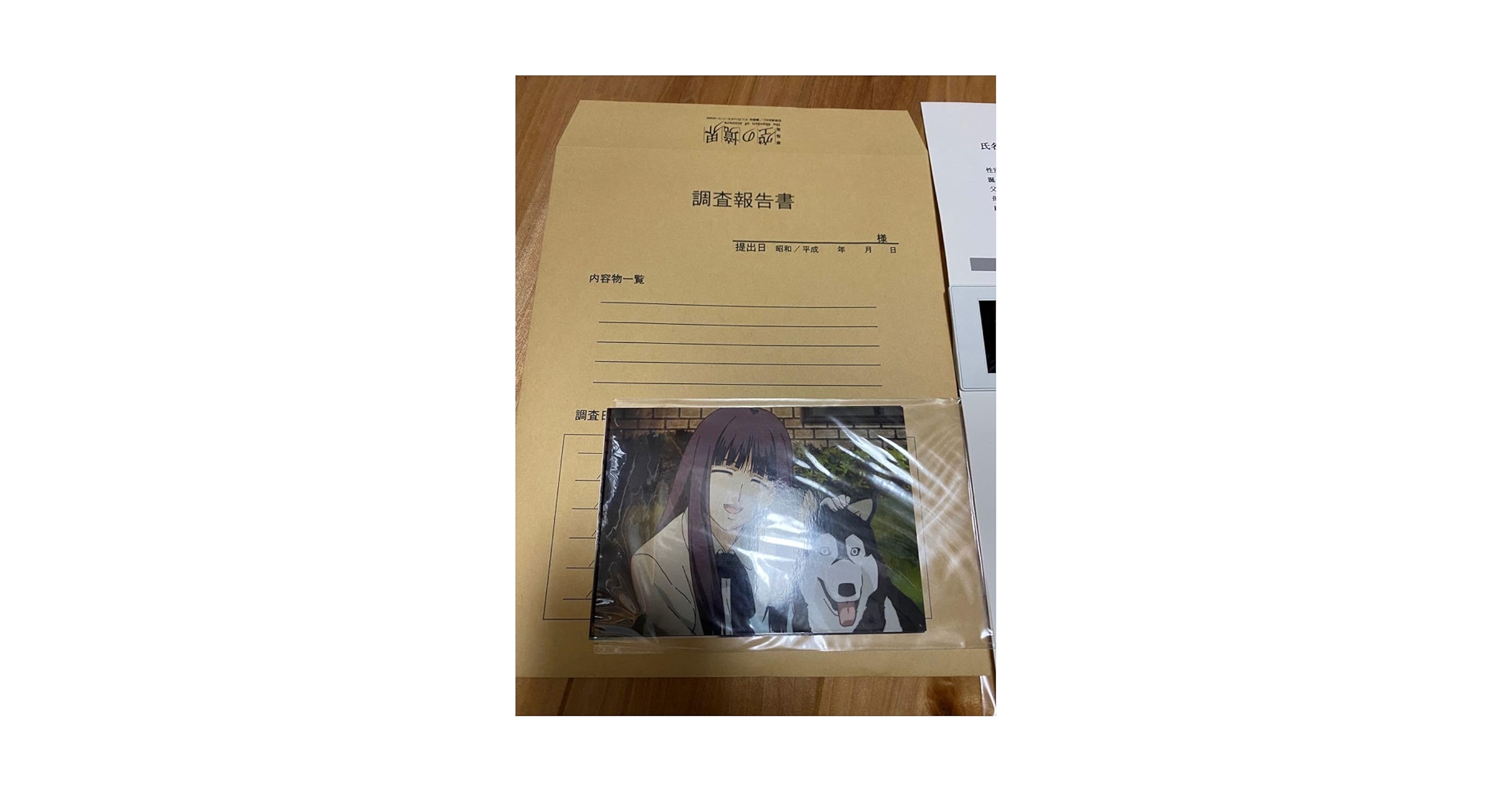 C74限定 空の境界 浅上藤乃 調査報告書 C74限定 空の境界 浅上藤乃 調査報告書