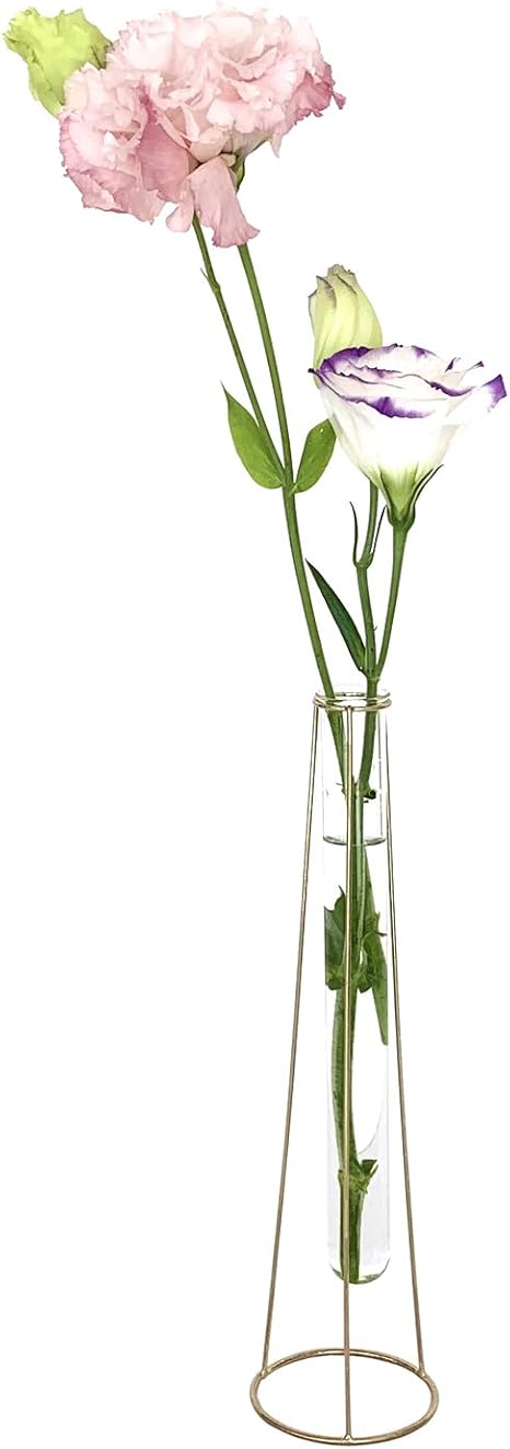 Amazon Co Jp Axcis アクシス ワイヤーベース フラワーベース 花瓶 花器 置き型 ガラス 一輪 一輪挿し アンティーク ラウンド L ホーム キッチン