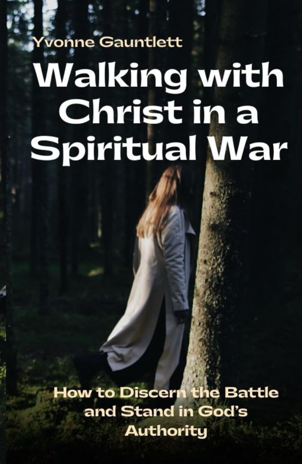 Walking with Christ in a Spiritual War: How to Discern the Battle and Stand in God’s Authority
