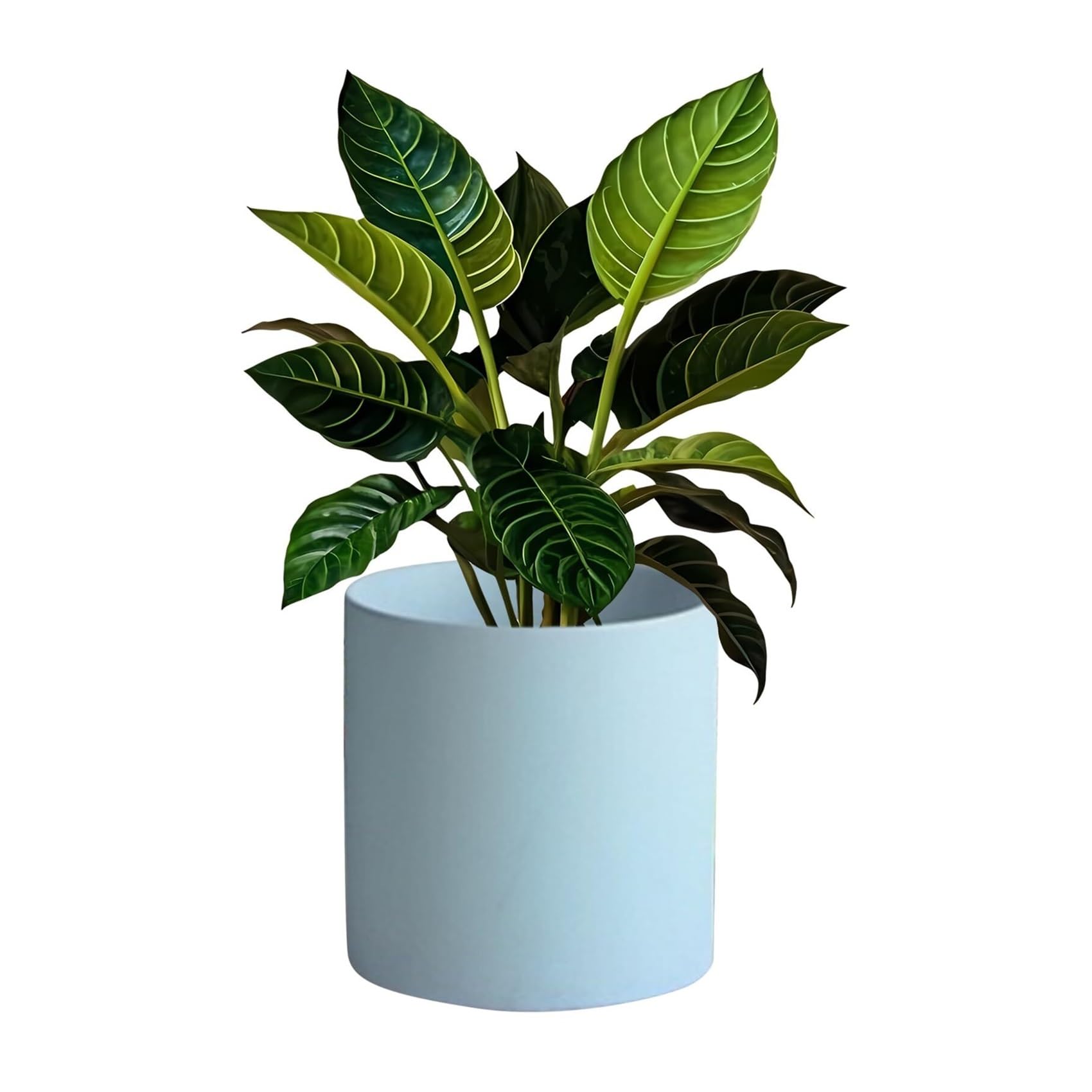 Pot à arrosage automatique avec trous de drainage pour pots fleurs
