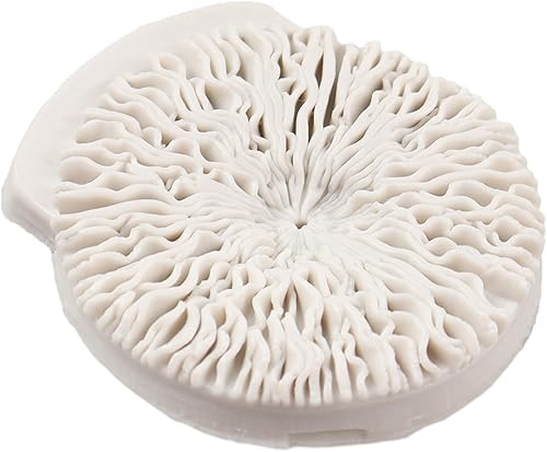 Miniatura 7 de Moldes de silicona para fondant de hongos, moldes de silicona de caramelo de chocolate para decoración de pasteles, decoración de cupcakes, pasta de