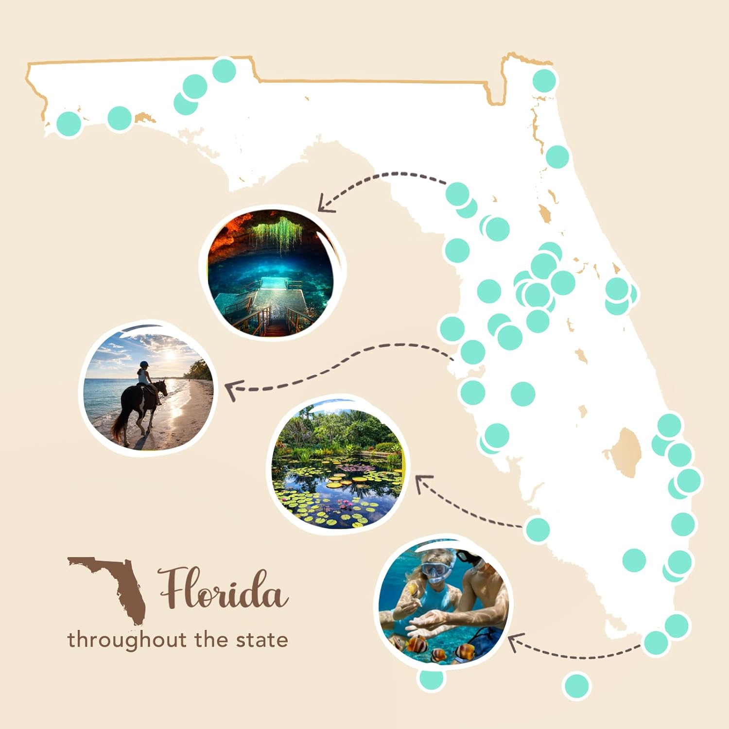 Florida Adventure Bucket List Cards – 50 Scratch Off Adventure Cards with Classic, Hidden Gems & Seasonal Experiences, Off-the-Beat Bucket List Box, Florida Local Travel Gift & Guide, 2026 Edition