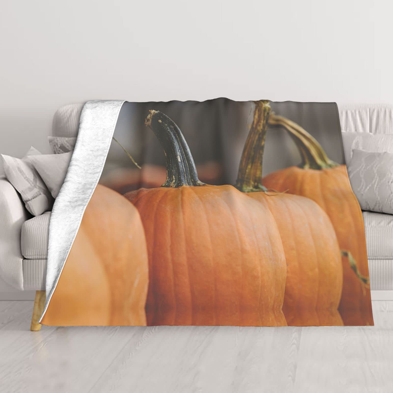 Couverture double couche thermique et ultra moelleuse pour lit et sofa