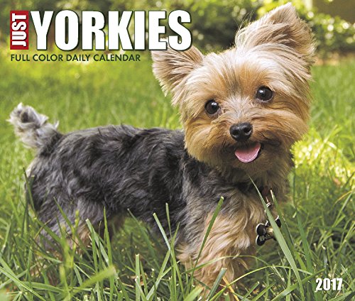 Just Yorkies 2017 Box Calendar (Dog Breed Calendars)