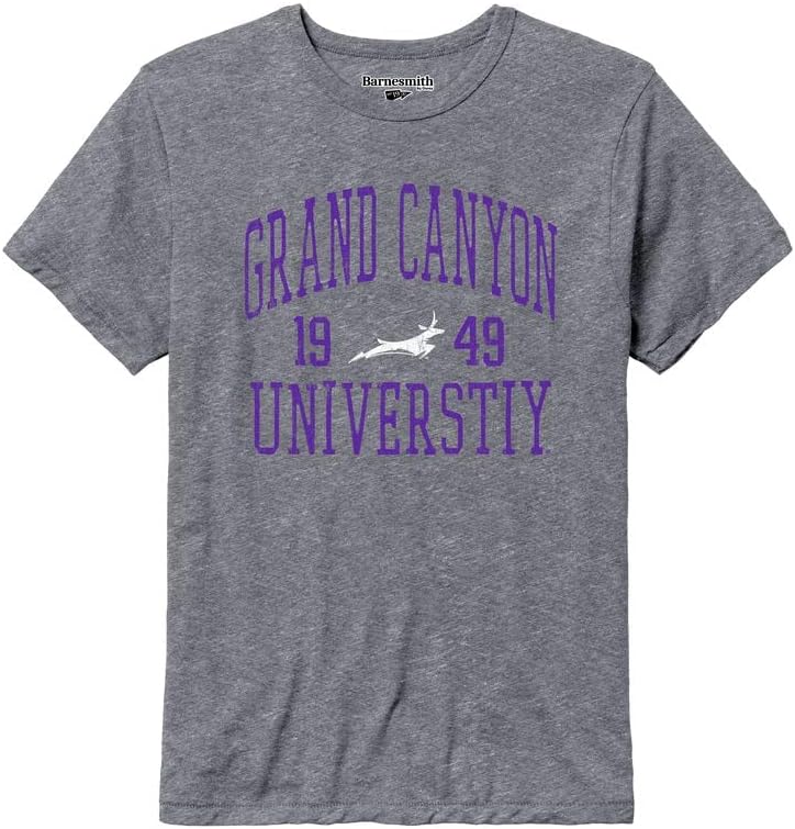 Barnesmith NCAA Unisex Short-Sleeve T-Shirt, Premium Tri-Blend, Collegiate Logo, Grey