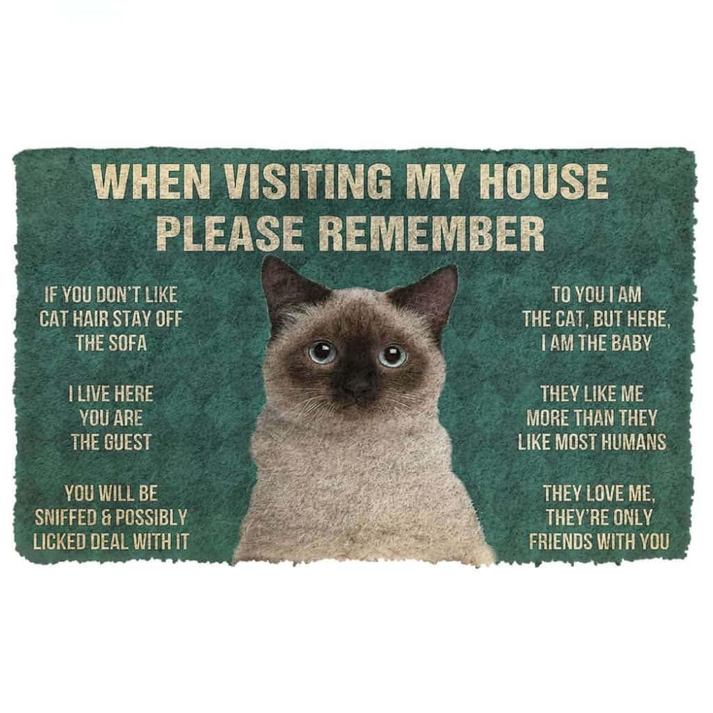 Paillasson extérieur entrée chat Birman tapis de porte personnalisé pour maison propre