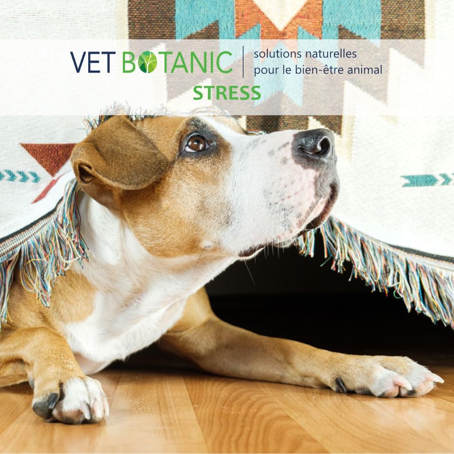 Marine-Magnesium für Hunde und Katzen, Pulver, 100 g Vet Botanic
