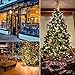 Minetom C9 Clear Christmas String Lights, 25FT 25 Bulbs Bright & Warm Outdoor Christmas Lights, Long Life C9 String Lights for Tree Patio Gazebo Wreath, Green Wire
