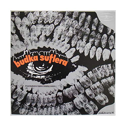 Przechodniem Bylem Miedzy Wami