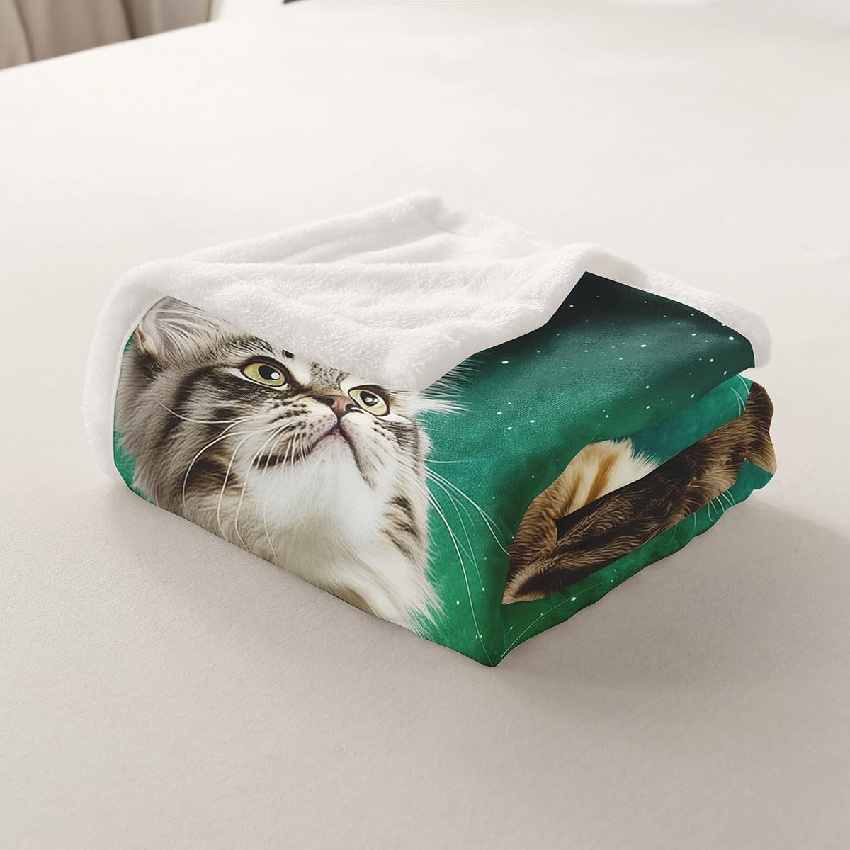jejeloiu Kids Cats Fleece Throw Blanket Twin 60"x80" Cat Lover Gift Sherpa Blanket for Boys Girls Teens Kitten Moon Decor Fuzzy Plush Blanket Cat Stuffed Flannel Blanket Bedroom