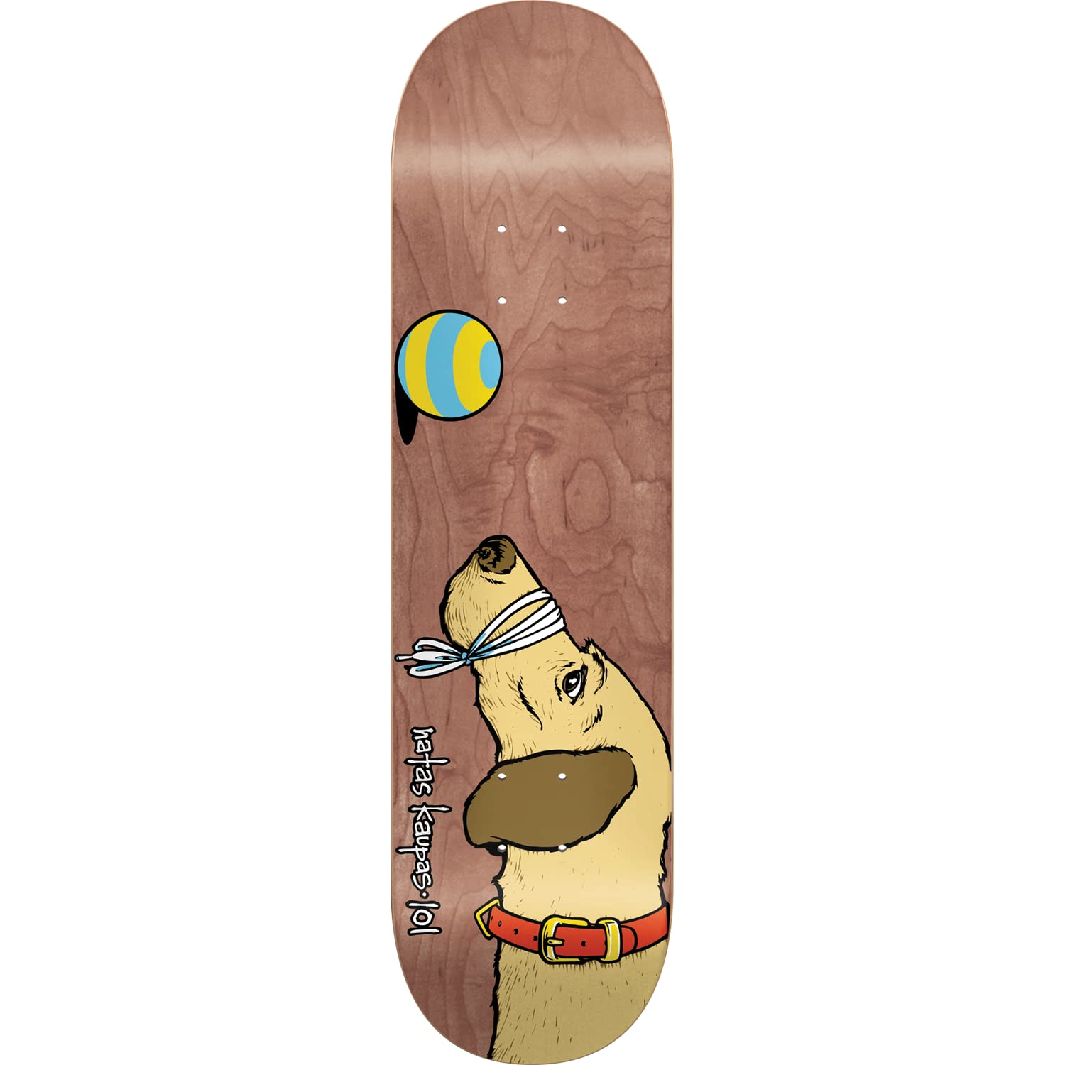 101 Boards Decks - Assembled AS Complete Skateboard - Ready to Ride Skateboard - Custom Built for You