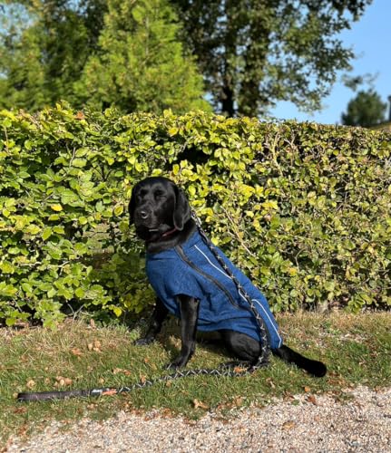 iEnergy™ OSC isolierende und warme Outdoor-Hundejacke mit Fleece-Innenfutter, windabweisender, ultraleichter und reflektierender Hundemantel, Ganzjahres-Hundeviespullover (Blau Groß)