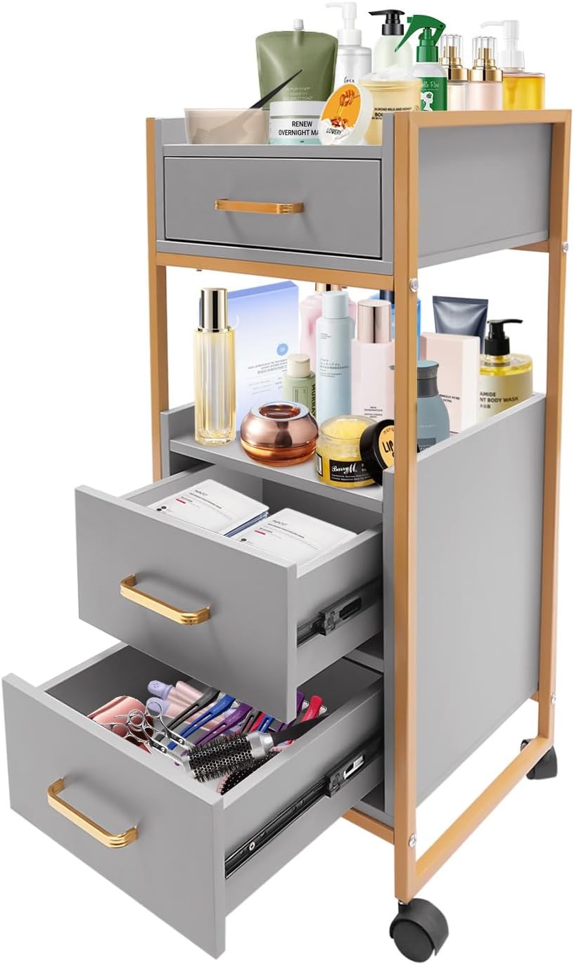 Salon Trolley Cart with Wheels, Spa Storage Systems with 3 Drawers and Hair Dryer Holder Hairstylist Station Rolling Tattoo Cart Makeup Organizer Beauty Equipment (Golden Gray)