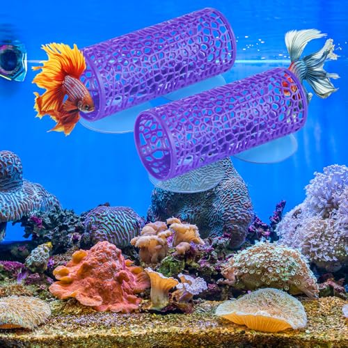 Image of Honeydak 2 Pcs Betta Fish Tank Accessories Betta Tunnel Fish Toys Safe Hollow Hammock Cave Aquarium Decor with Suction Cups for Small Shrimp Reptile Guppies(Purple,Hideout Tube)