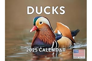 Waterfowl Calendar 2024 - Enjoy Stunning Duck Captivating Images Month-by-Month with Our Ducks Calendar 2025