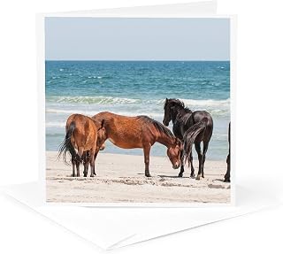 Greeting Card - Wild Mustangs, Currituck NWR, Corolla, Outer Banks, North Carolina - Horses