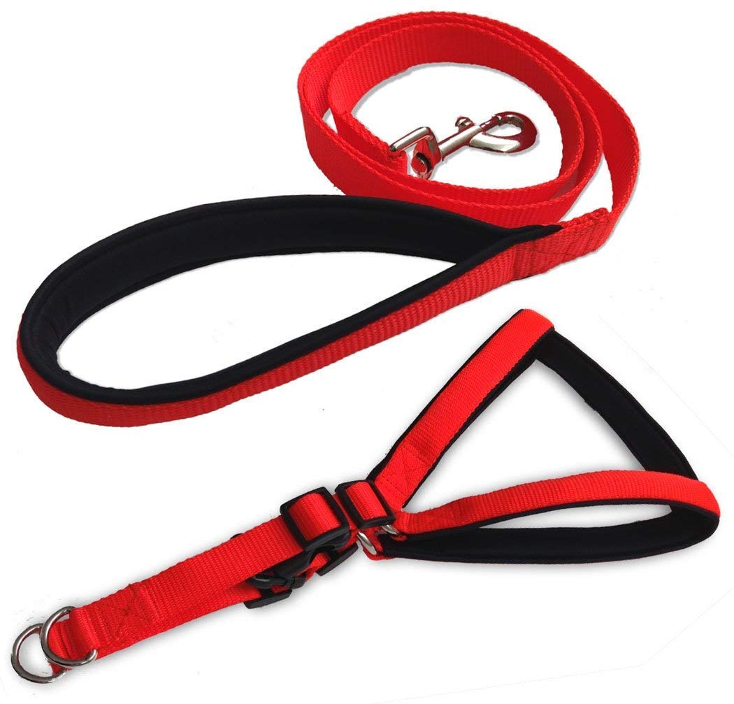 RvPaws Pet Dog Nylon Soft Padded Body Set-Leash & Harness Red/Black - Harness + Leash (Medium-0.75 Inch) (B09MQVJVFM) Amazon Price History, Amazon Price Tracker