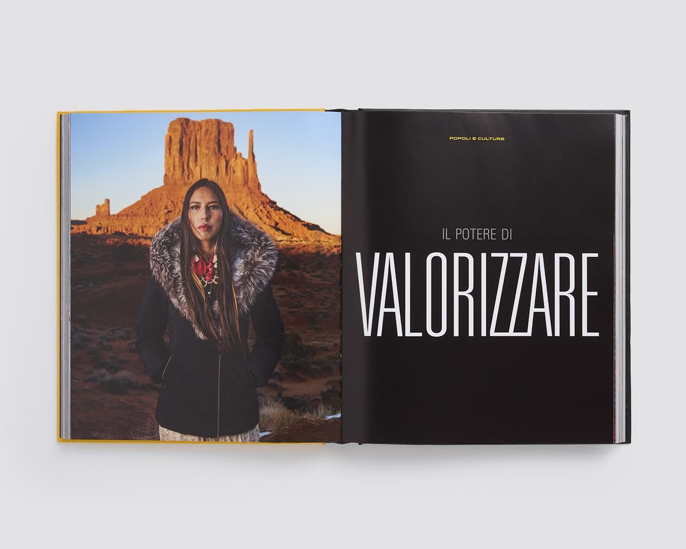 Le grandi fotografie di National Geographic. Ediz. a colori