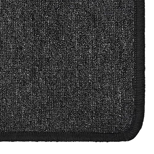 Tapis de couloir pour entrée et chambre à coucher feutrée