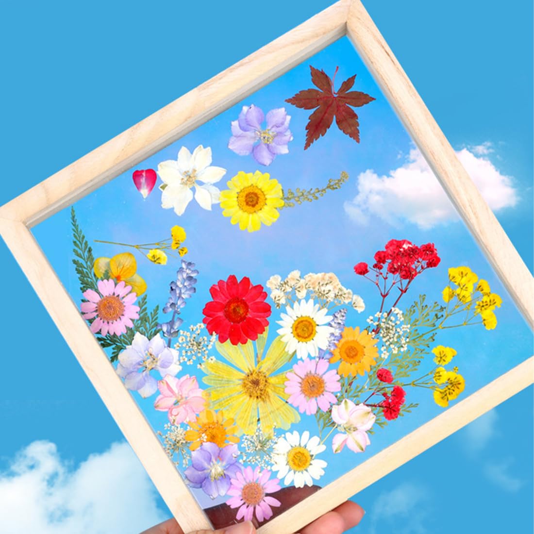 CONVELIFE 63 Fiori E Foglie Secchi Pressati Naturali Per Resina, 21 Stili, Con Pinzette, Per Gioielli Fai Da Te, Scrapbooking E Decorazioni