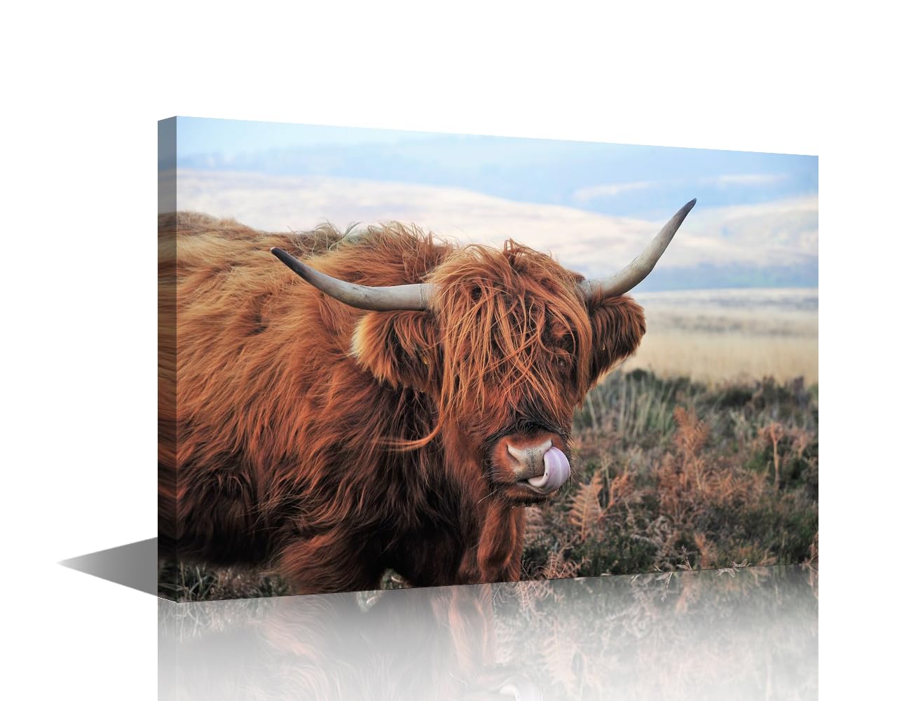 Cow Wall Painting for Living Room Fluffy Scottish Highland Cattle Picture Winter Landscape Highland Cow Print on Canvas Painting Wall Art 1 Panel Artwork Home Decor Framed Ready to Hang 36x24 in — image 1