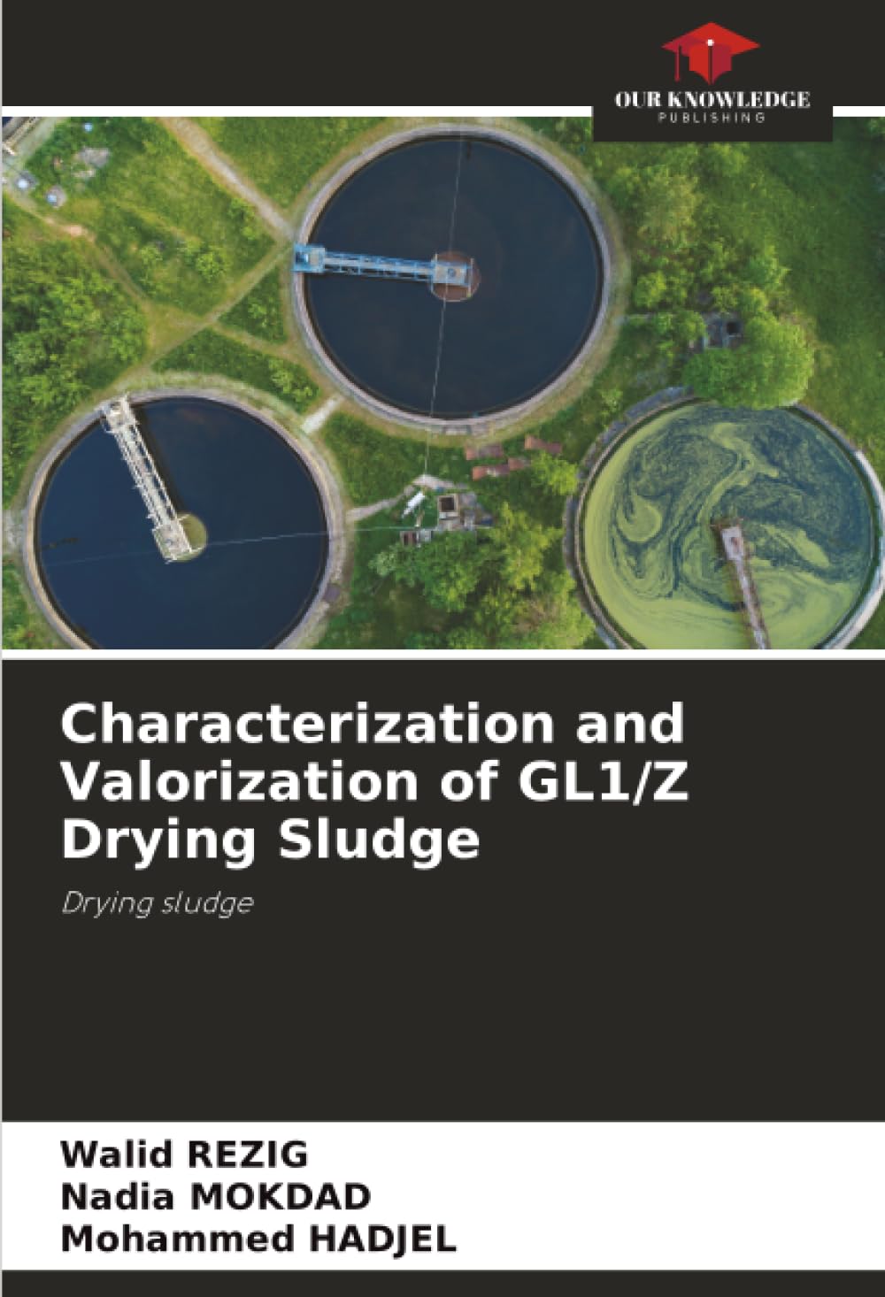 Characterization and Valorization of GL1/Z Drying Sludge: Drying sludge