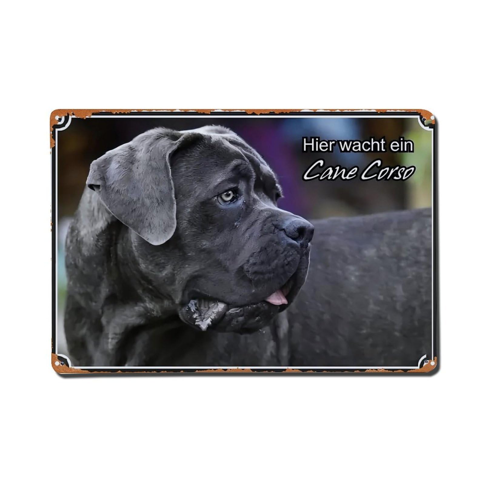 Cane Corso Dog Portrait Sign Vintage Tin Sign Retro Metal Wall Decor Metal Poster, Home Bar Garage Farmhouse Cafe Wall Art Decoration 8x12Inches