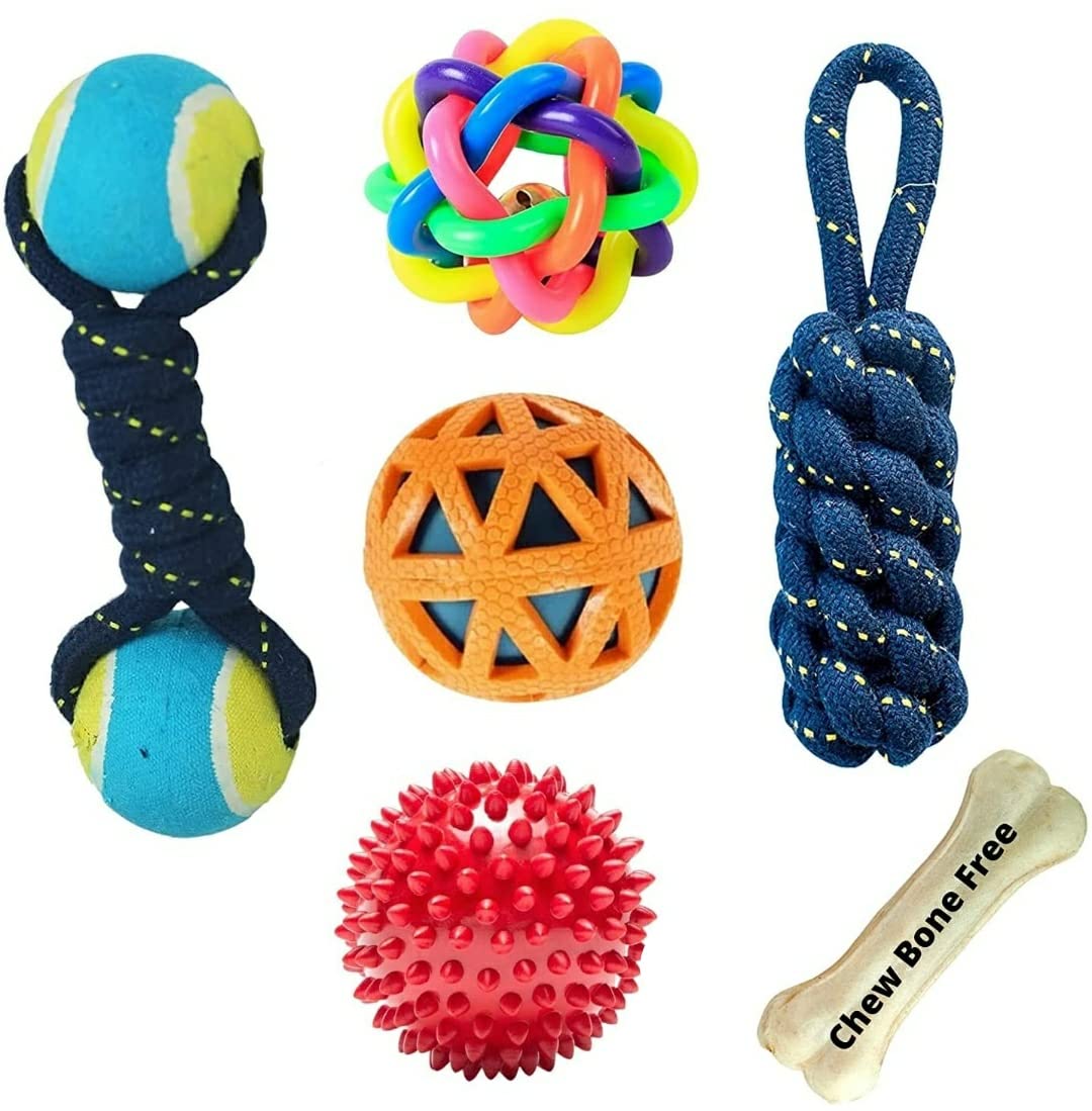 See full amazon price history chart for PETLICIOUS & MORE® Teething Chew Toys Combo Dual Tennis, Corn Stick Rope, Rainbow, Spike & Ball in Ball for Small and Medium Size Dogs (6 in 1 Pack & One Chew 3 inch Bone Free) PETLICIOUS & MORE® Teething Chew Toys Combo Dual Tennis, Corn Stick Rope, Rainbow, Spike & Ball in Ball for Small and Medium Size Dogs (6 in 1 Pack & One Chew 3 inch Bone Free) (B09LY63JNV) Amazon Price History, Amazon Price Tracker