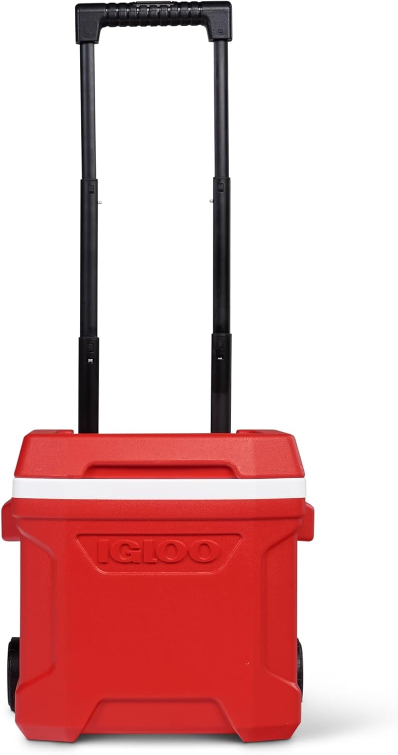 Igloo Passive Kühlbox