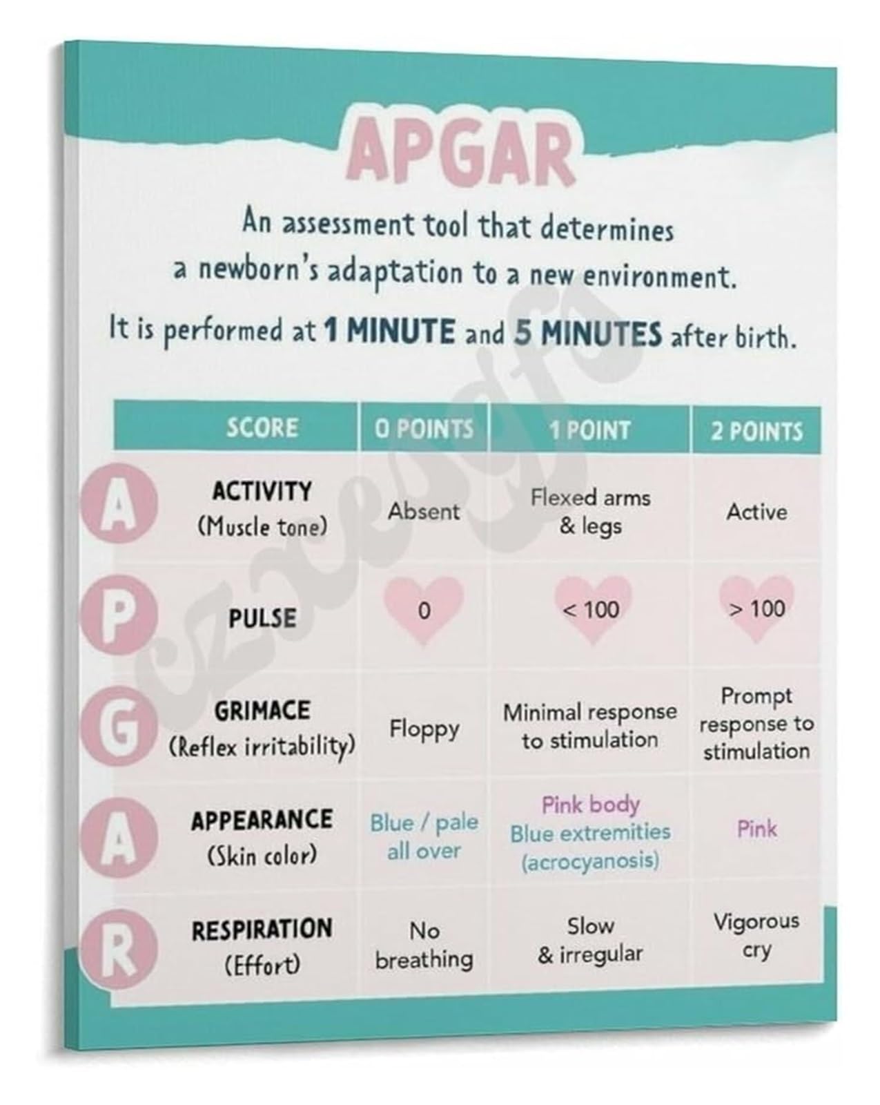 MDBJTCYZN Newborn APGAR Score Assessment Poster Clinical Reference Guide for Healthcare Professionals Nursing School Training(Unframed,08x12inch(20x30cm))