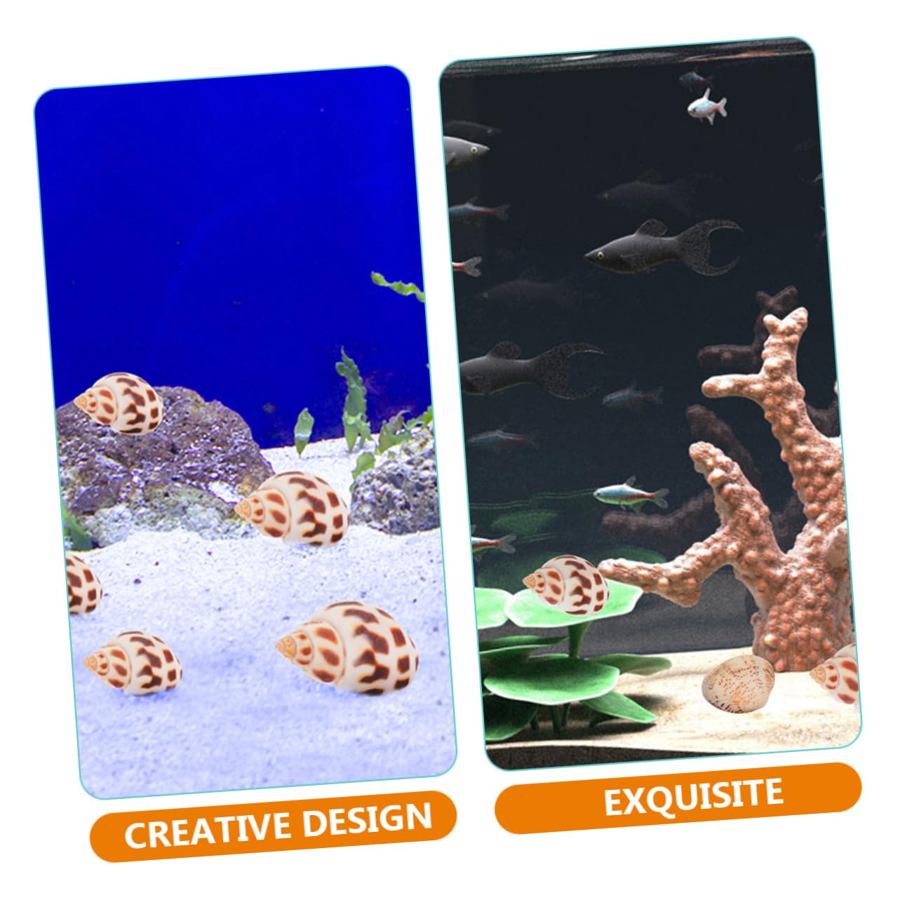 Zerodeko 2 Set Conchiglia Vuoto Substrato Spiaggia Decorazioni per Bomboniere Decorazioni Marine Decorazione di Conchiglie Dell'acquario Materiale di Riempimento del Guscio 160 Pezzi * 2