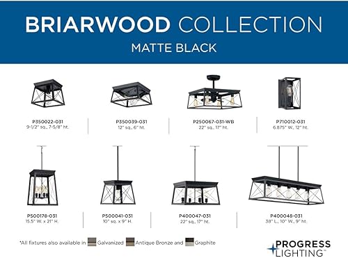 Vista 29 de Progress Lighting Briarwood Collection - Mini-colgante costero (grafito), color negro